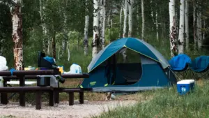 Siimumäe nutivaba lastelaager Narvas 27. juulil: hind 35–40 €